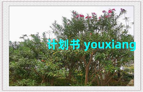 计划书 youxiang